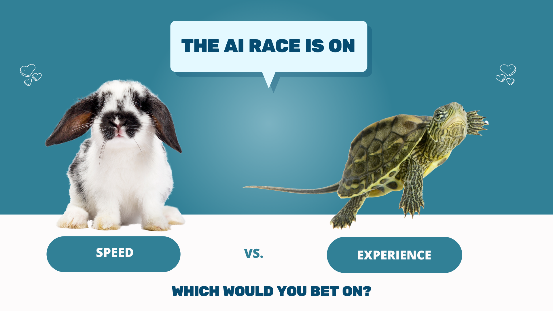 tortoise vs hare
